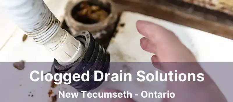  Clogged Drain Solutions New Tecumseth - Ontario