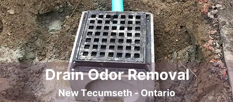  Drain Odor Removal New Tecumseth - Ontario