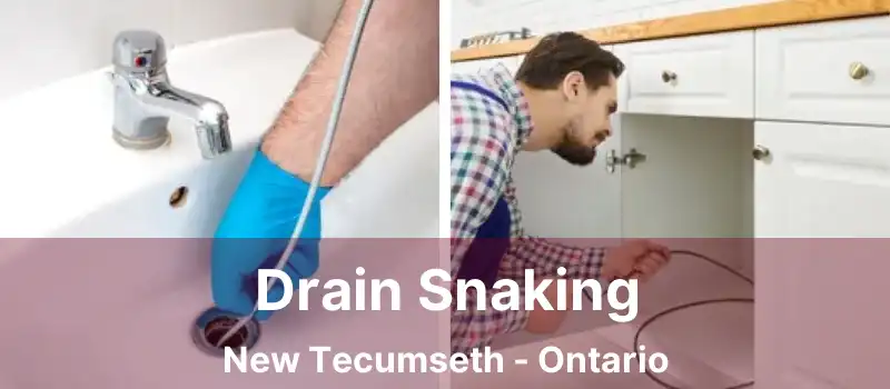 Drain Snaking New Tecumseth - Ontario