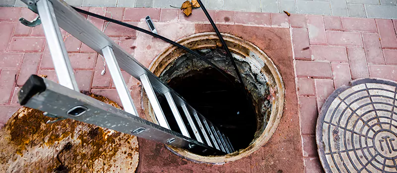 Emergency Sewer Replacement Services in New Tecumseth, ON